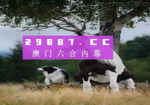 澳門天天空彩官網(wǎng)資料，探索彩票世界的門戶，澳門天天空彩官網(wǎng)資料，彩票世界探索門戶