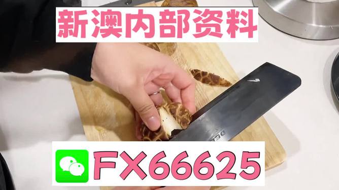 魅力與優(yōu)勢探索