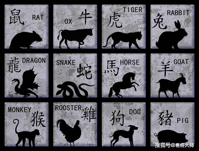 新澳特碼，羊?；⒏鲾?shù)10的獨特魅力與解析，新澳特碼，羊?；⒏鲾?shù)10的獨特魅力深度解析