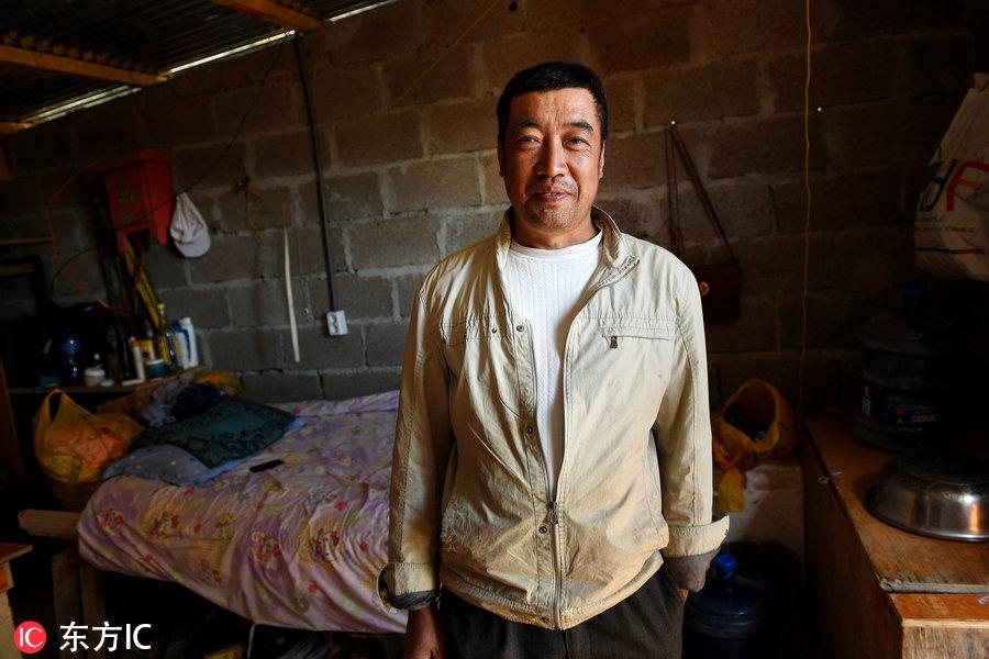博科圣地組織，深度解析與理解，博科圣地組織深度解析與探究