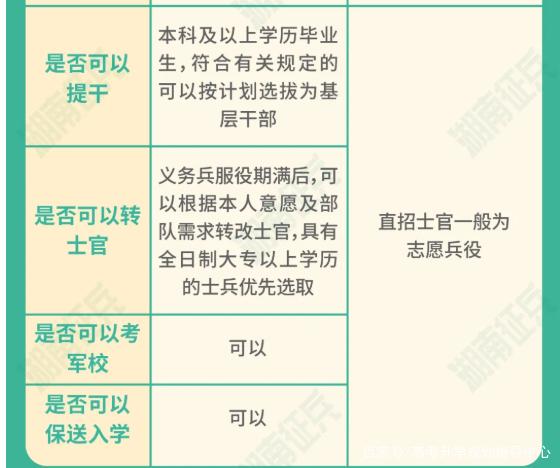 士官直招與義務(wù)兵的區(qū)別，深入了解軍隊(duì)招募制度，直招士官與義務(wù)兵招募制度深度解析，軍隊(duì)招募制度詳解