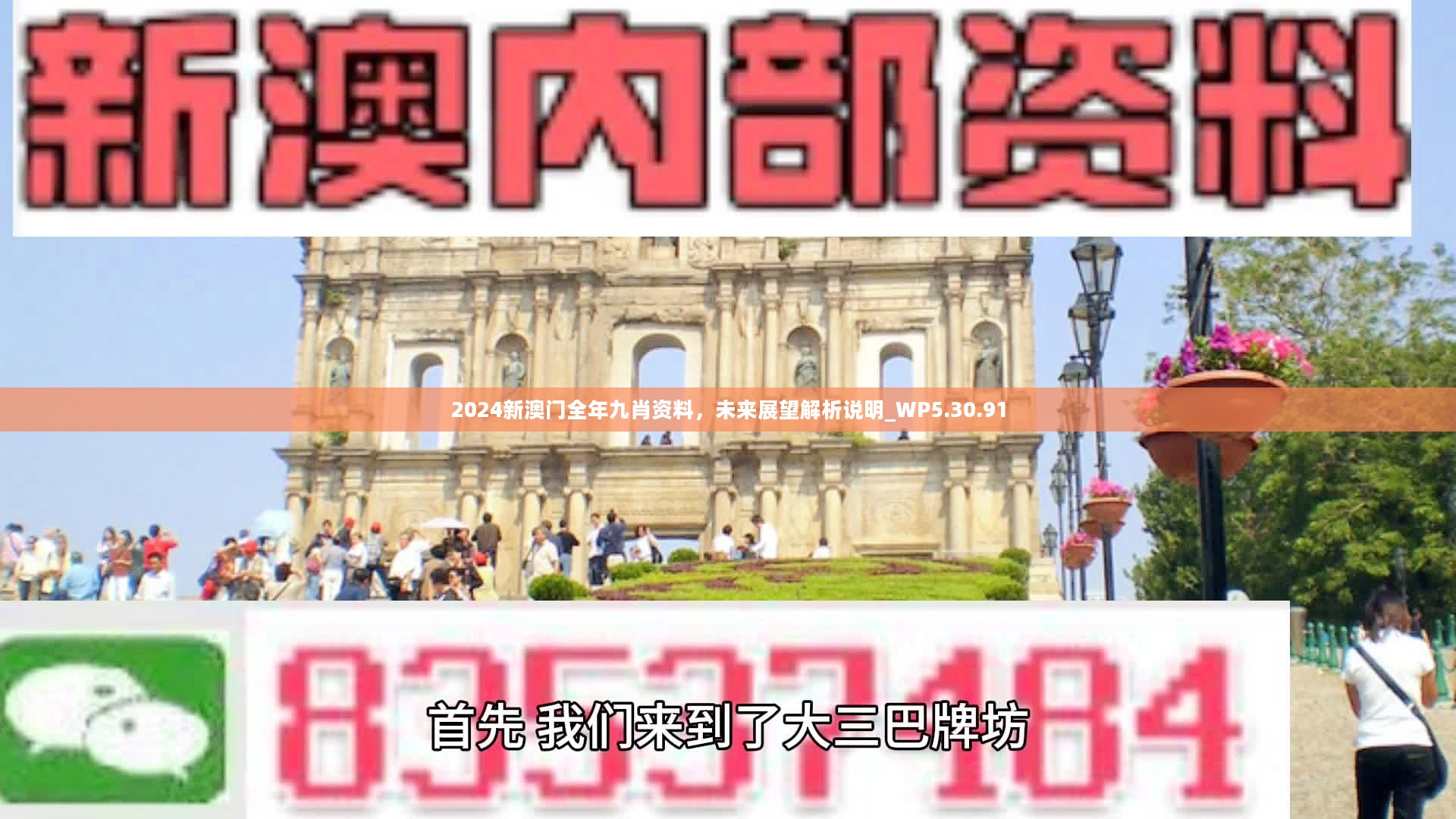 新澳門精準九肖，揭秘預測技巧與策略，揭秘新澳門精準九肖預測技巧與策略