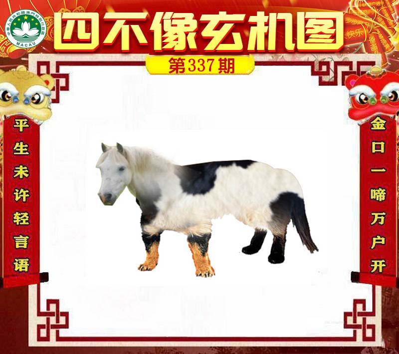 王中王四不像肖一肖中特，探索神秘現(xiàn)象背后的真相，神秘現(xiàn)象背后的真相探索，王中王四不像肖一肖中特揭秘