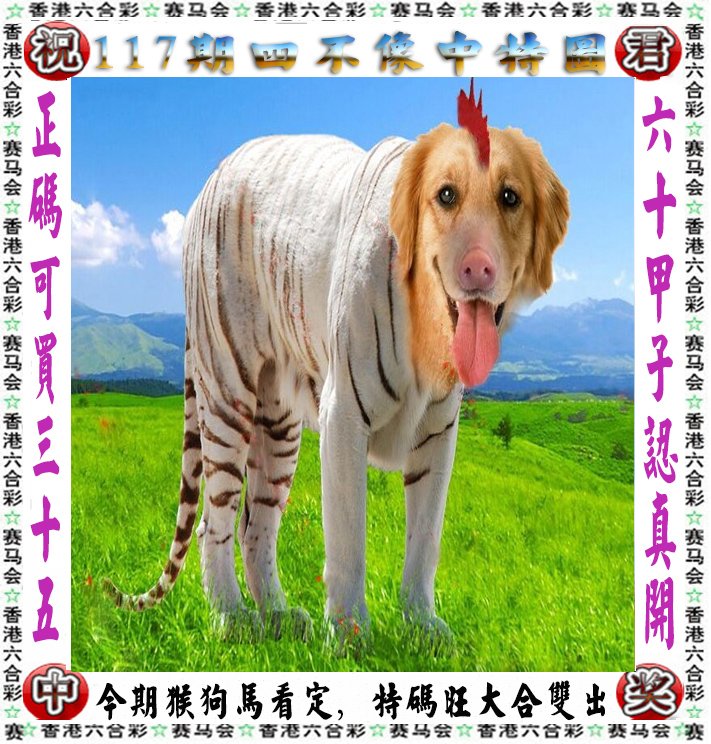 王中王四不像一肖論壇，探索神秘論壇的世界，王中王四不像一肖論壇，神秘論壇世界的探索之旅