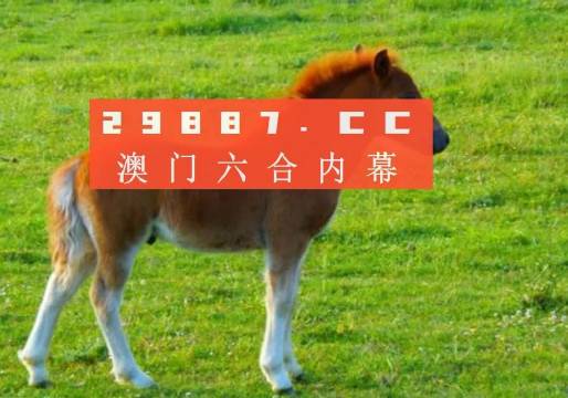 澳門答家婆一肖一馬一中一特，揭秘背后的秘密與獨特文化魅力，澳門文化魅力深度解析，答家婆一肖一馬一中一特的獨特傳統(tǒng)與秘密
