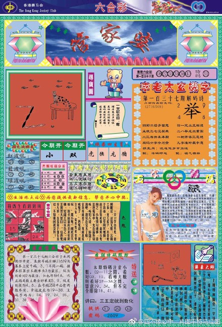 王中王四不像必出一肖圖——揭秘彩票背后的秘密，揭秘彩票背后的秘密，王中王四不像必出一肖圖的真相探索