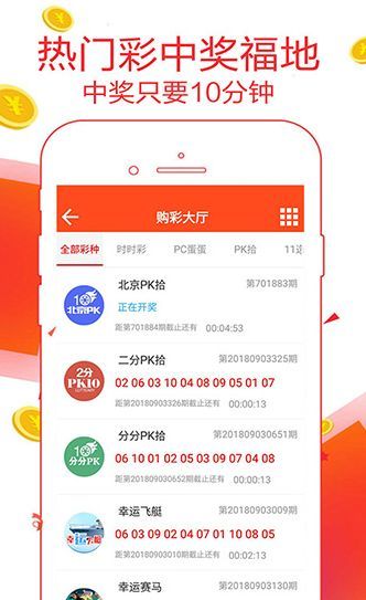 王中王一肖恃com，深度解析與SEO優(yōu)化策略，王中王一肖恃com，全面深度解析與SEO優(yōu)化策略探討