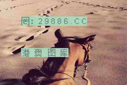 香港特馬資料王中王24期，深度解析與探索，香港特馬資料王中王深度解析與探索，第24期探索之旅