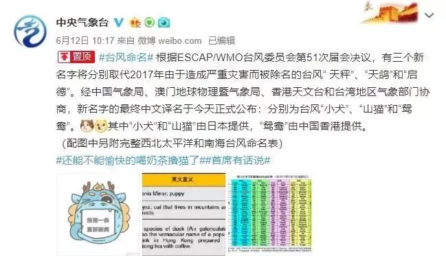 新澳門必中三肖三碼三期必開劉伯，揭秘彩票背后的秘密與策略，揭秘彩票背后的秘密與策略，劉伯的新澳門三期必開三肖三碼預(yù)測(cè)技巧