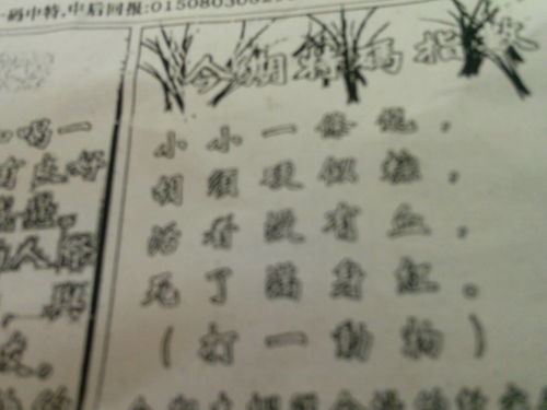 劉伯溫特一肖王中王，傳奇人物與生肖之王的神秘結(jié)合，劉伯溫生肖傳奇，傳奇人物與生肖之王的神秘交融