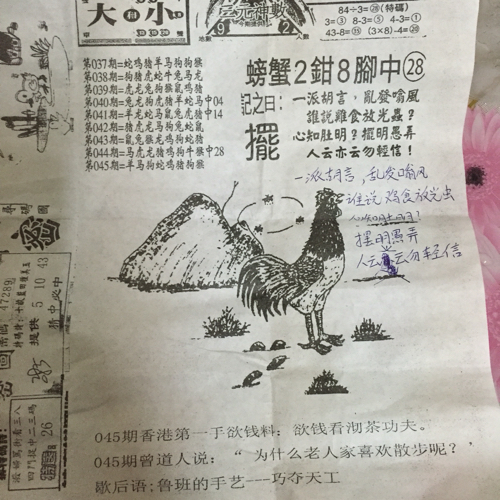 揭秘林中的高手王中王猜一肖的奧秘，揭秘林中之王王中王與生肖奧秘探秘