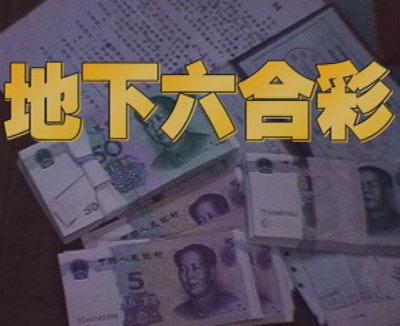 王中王一特中肖期期準(zhǔn)，深度解析與SEO優(yōu)化策略，王中王一特中肖期期準(zhǔn)深度解析與SEO優(yōu)化策略探討