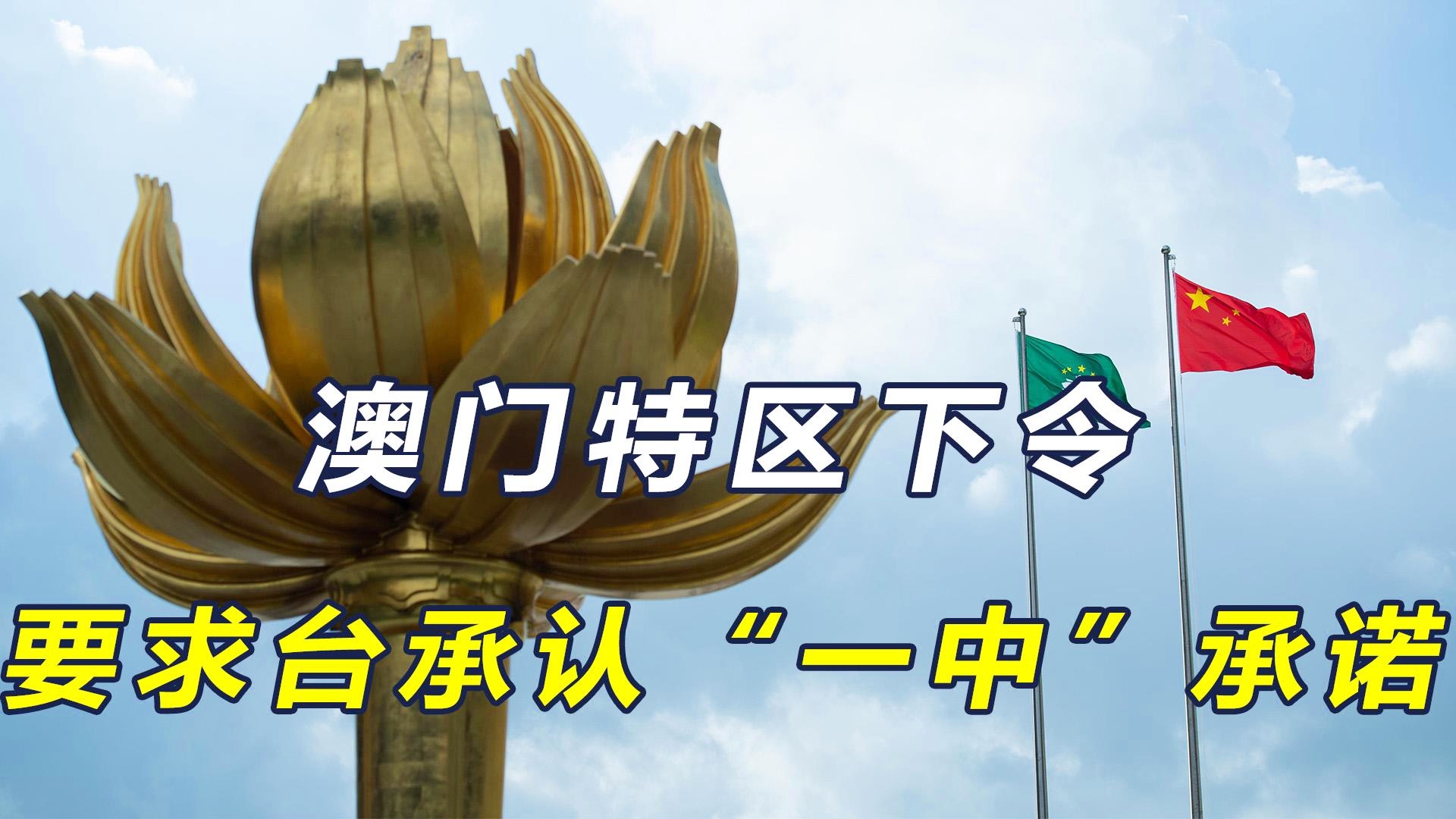 新澳門一碼一肖一特一中準(zhǔn)選今晚之秘與博彩文化深度解析，澳門博彩文化深度解析，今晚一碼一肖一特一中準(zhǔn)選的秘密