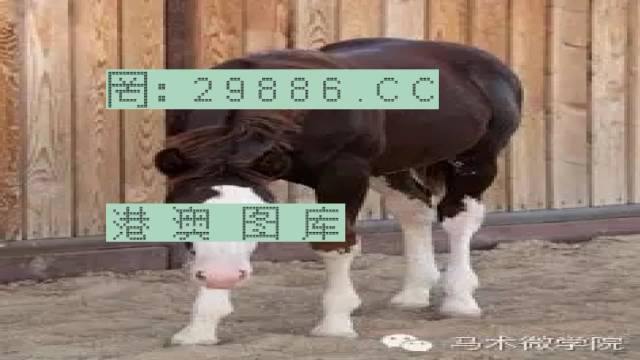 揭秘446999一肖中特馬之秘密，掌握中獎玄機！，揭秘特馬中獎玄機，446999一肖中的秘密大揭秘！