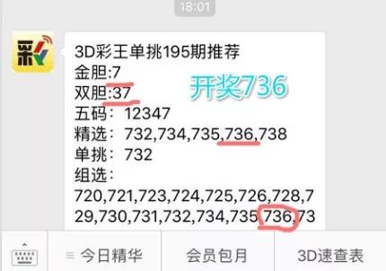 王中王一肖中特4993，深度解析與探索，王中王一肖中特4993深度解析與探索報(bào)告