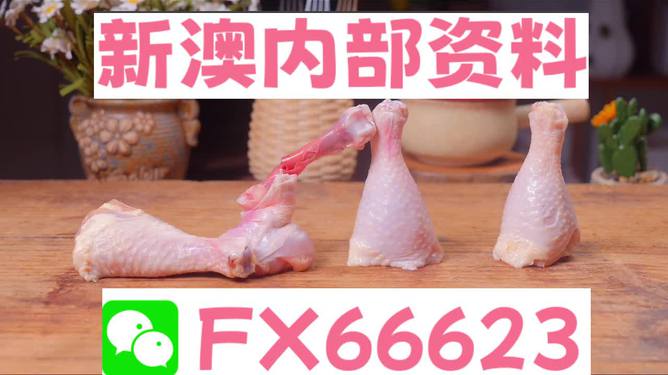澳門一碼中精準一碼免費中特論壇，探索精準預測的魅力與優(yōu)勢，澳門一碼精準預測探索論壇，優(yōu)勢與魅力展現(xiàn)