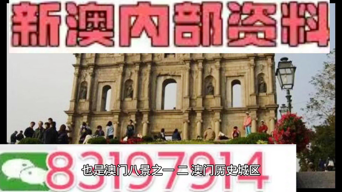 今晚澳門買什么最好？全方位解讀帶你走向勝利之路，澳門今晚買什么最佳？全方位指南引領(lǐng)你走向勝利之路