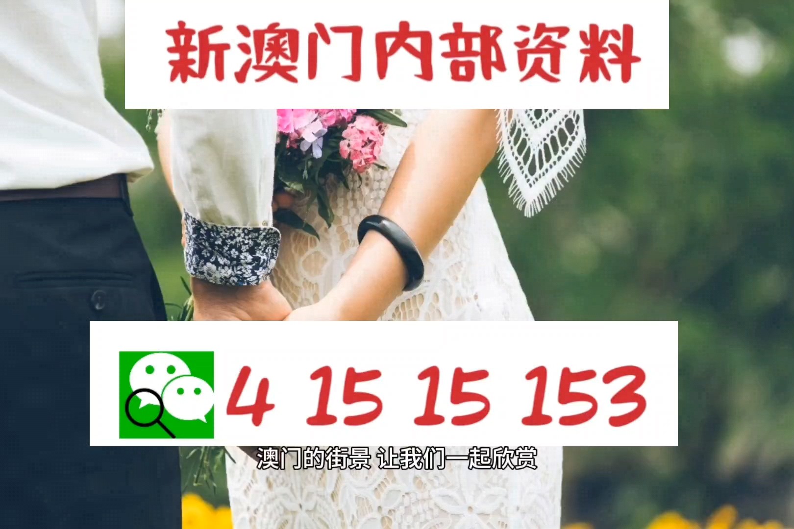 新澳精準(zhǔn)正版資料免費(fèi)，探索與獲取指南，新澳正版資料免費(fèi)探索與獲取指南