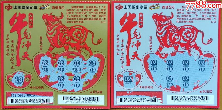 王中王19期指一生肖——探尋背后的奧秘與意義，王中王19期指一生肖，背后的奧秘與意義探尋