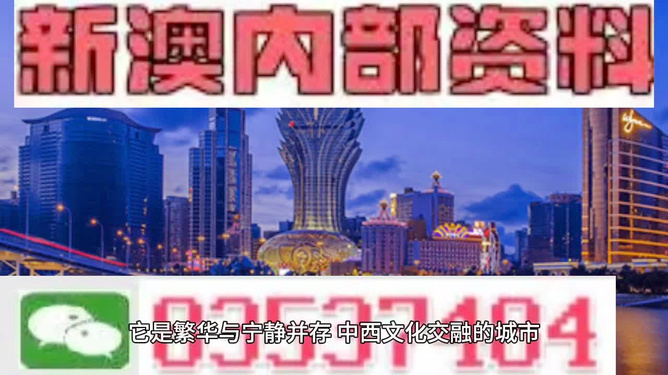 新澳門天天資料，探索與解讀，新澳門天天資料，深度探索與解讀