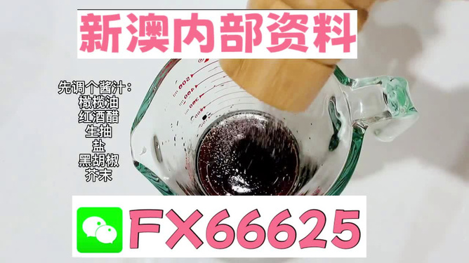 新澳全年免費資料大全——探索與獲取的無盡資源，新澳全年免費資料大全，無盡資源的探索與獲取