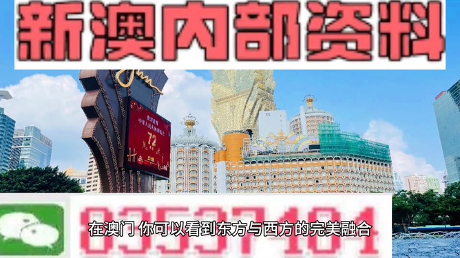 新澳新澳門正版資料，探索與解析，新澳新澳門正版資料深度解析與探索