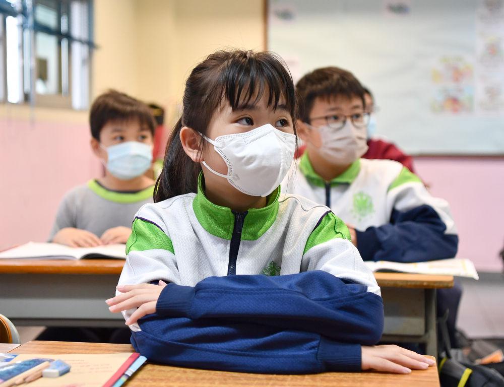 香港今晚必開一肖，深度解析與預測，香港今晚生肖預測，深度解析與獨家預測