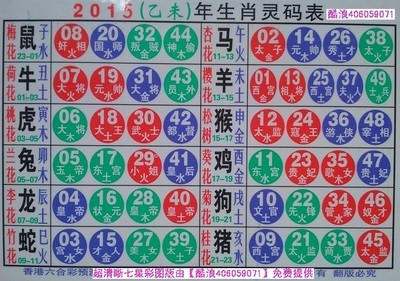 揭秘2025十二生肖與數(shù)字彩票的神奇聯(lián)系——49碼表全解析，揭秘十二生肖與數(shù)字彩票的神秘聯(lián)系，2025年49碼表深度解析