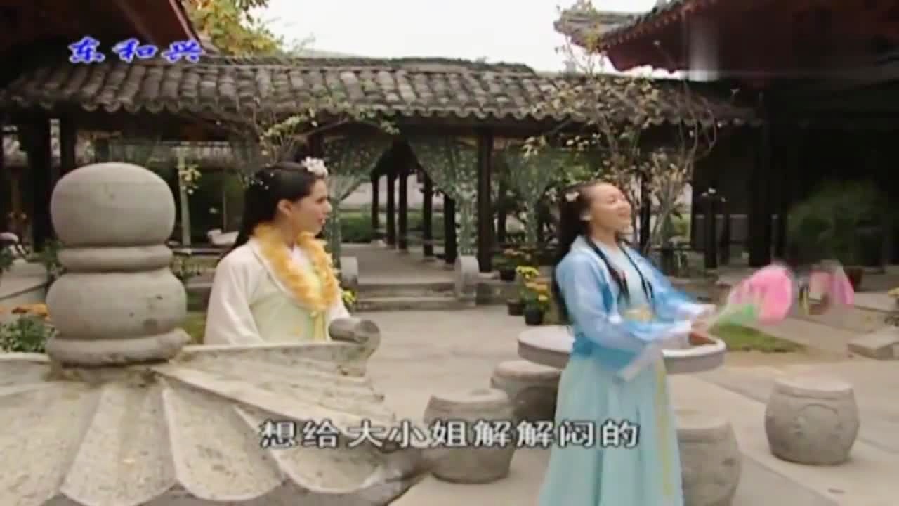 劉伯溫白小姐一肖期期準(zhǔn)，神秘預(yù)測背后的真相，劉伯溫白小姐生肖預(yù)測揭秘，神秘預(yù)測背后的真相