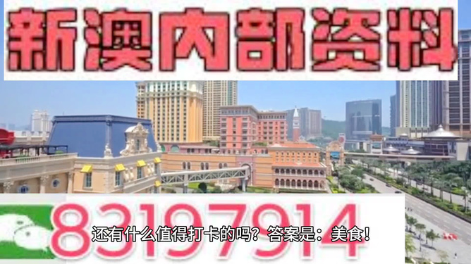 澳門免費(fèi)精準(zhǔn)資料，探索204年的秘密與機(jī)遇，澳門204年秘密與機(jī)遇探索，免費(fèi)精準(zhǔn)資料揭秘