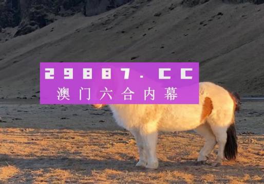 澳門彩六開獎結果第52期，深度解析與預測分析，澳門彩六第52期開獎結果深度解析與預測分析