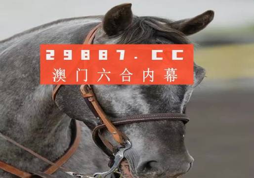 澳門一一碼一特一中準(zhǔn)選今晚，探索真實(shí)有效的選擇與策略，澳門今晚一特一中準(zhǔn)選碼，真實(shí)有效的選擇與策略探索