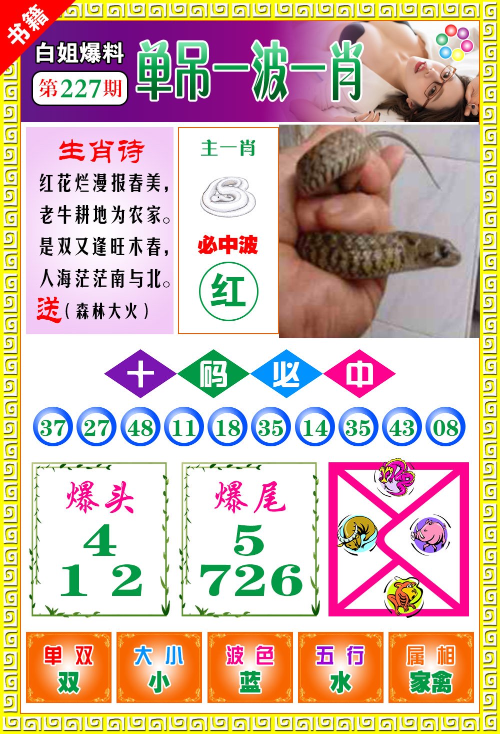 王中王免費(fèi)開(kāi)獎(jiǎng)一肖結(jié)果，揭秘彩票背后的秘密，揭秘王中王彩票開(kāi)獎(jiǎng)內(nèi)幕，一肖結(jié)果背后的秘密揭曉