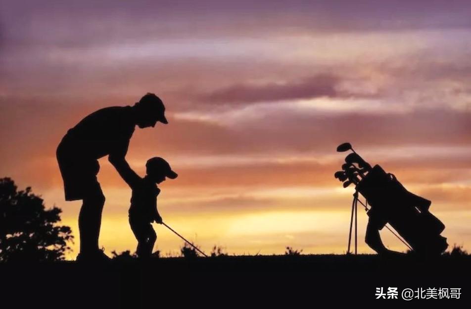 森林高手王中王與神秘生肖——深度解讀背后的故事與秘密，森林高手王中王與神秘生肖，故事背后的深度解讀與秘密探尋