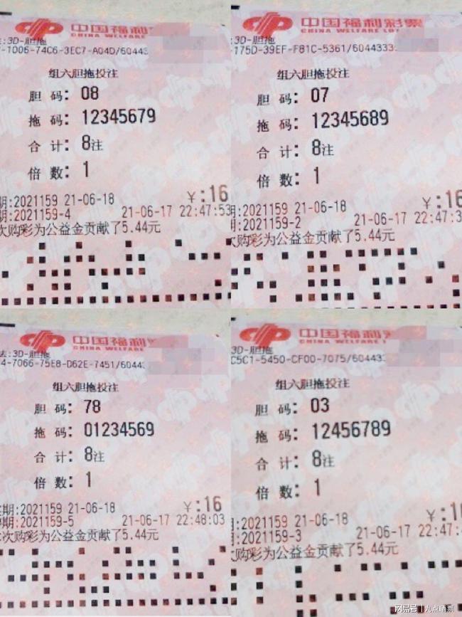 王中王四肖精選一肖新聞，揭秘背后的故事與趨勢(shì)，王中王四肖精選揭秘，背后的故事與趨勢(shì)聚焦一肖新聞