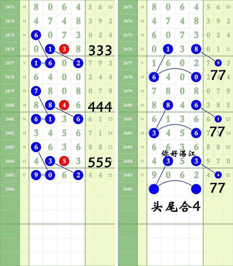 一肖三碼王中王絕密，揭秘背后的秘密與策略洞察，揭秘一肖三碼王中王絕密策略與背后秘密