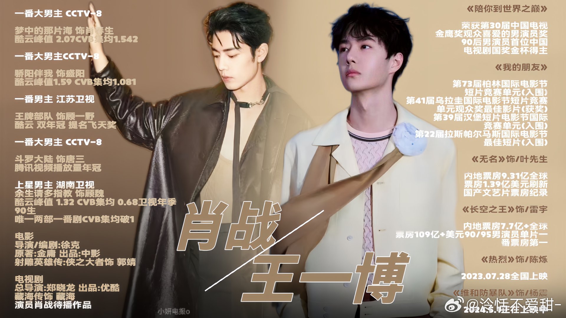 王中王一肖中特全年資料解析與SEO優(yōu)化策略，王中王一肖中特全年資料解析與SEO策略詳解