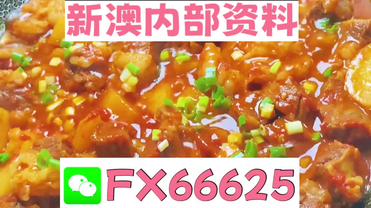新澳2025正版資料大全——全面解析與深度探索，新澳2025正版資料大全，全面解析與深度探索指南