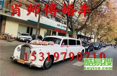 王中王車奪平特一肖免費——深度解析與探索，王中王車奪平特一肖，深度解析與免費探索