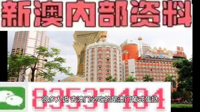 探索未來，2025年新澳門免費資料概覽，探索未來，2025新澳門免費資料概覽