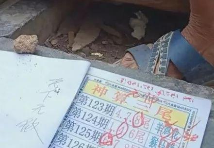 揭秘2025六開(kāi)彩天天免費(fèi)資料大全——獲取最新彩票資訊的寶藏之地，揭秘，2025六開(kāi)彩天天免費(fèi)資料大全——最新彩票資訊寶藏庫(kù)