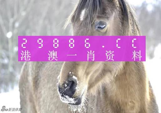 揭秘一肖一碼，澳門100%準(zhǔn)確預(yù)測(cè)背后的秘密，揭秘澳門一肖一碼預(yù)測(cè)背后的真相與秘密