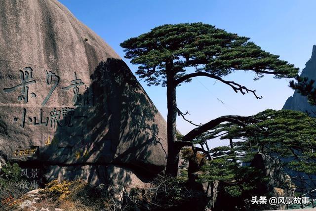 澳門四不像正版四不像網(wǎng)，探索真實(shí)與虛幻的交融之地，澳門四不像正版探索，真實(shí)與虛幻的交融世界