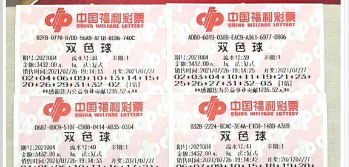 王中王084期指一生肖，解讀背后的秘密與生肖運勢分析，王中王084期生肖揭秘，秘密解讀與運勢展望