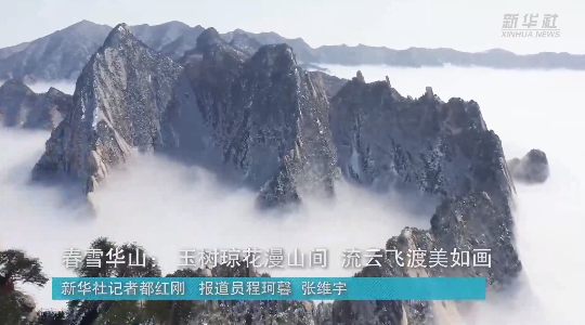 澳門最精準(zhǔn)龍門，探索真正的精準(zhǔn)之道，澳門最精準(zhǔn)龍門，揭秘真正的精準(zhǔn)之道