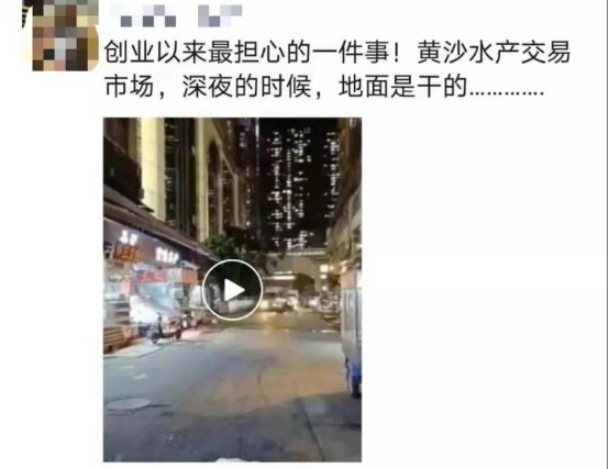 好料盡在王中王——揭秘生肖運勢的獨特魅力，揭秘生肖運勢獨特魅力，王中王好料大解密