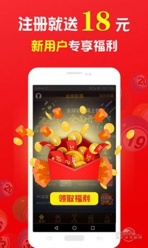 王中王的一肖，探尋背后的奧秘與故事，王中王的一肖，揭秘背后的奧秘與傳奇故事