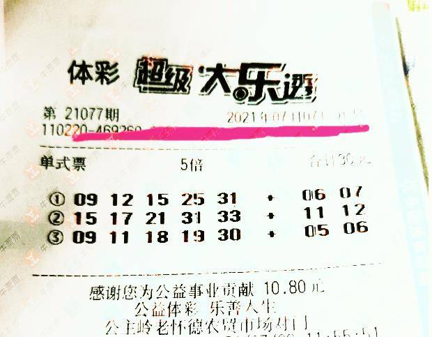 王中王077期指一生肖——揭秘背后的奧秘與生肖運勢分析，揭秘生肖奧秘與運勢分析，王中王生肖預測077期揭曉！