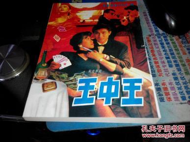 王中王資料一肖中特小說，深度解析與探索，王中王資料一肖中特小說的深度解析與探索之旅