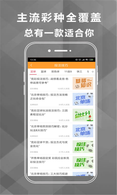 王中王493333中特馬網(wǎng)站——探索彩票樂趣的首選平臺，王中王493333中特馬網(wǎng)站，彩票樂趣的首選探索平臺